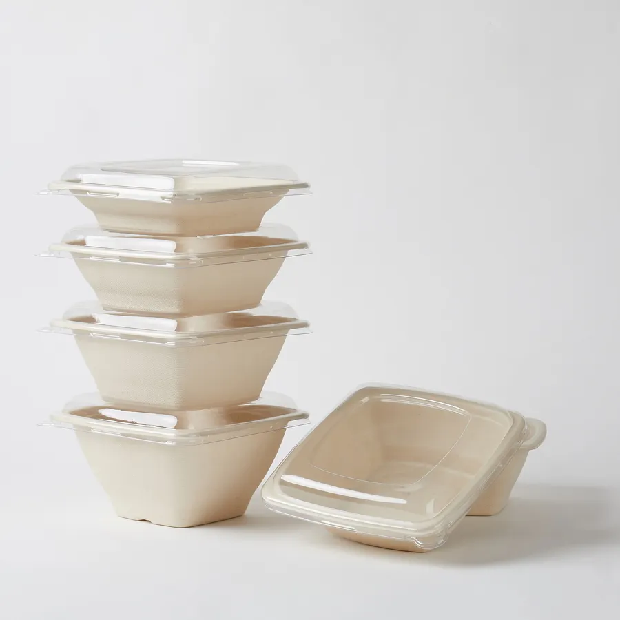 일회용 사탕 수수 사탕 수수 bagasse 샐러드 그릇 투명 뚜껑 G4 Compostable 생분해 성 16 온스 수프