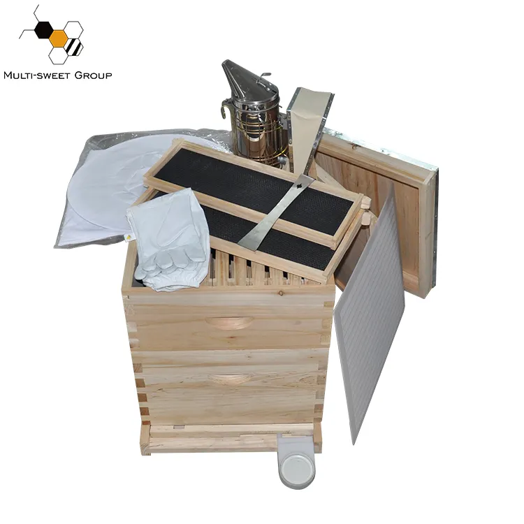 Kit de iniciación de apicultor, colmena de abejas, langstroth