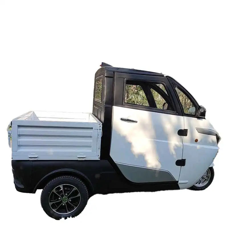 Lead acid battery adult EEC electric vehicle 2024 hot sale new electric tricycle with cargo box new electric vehicle