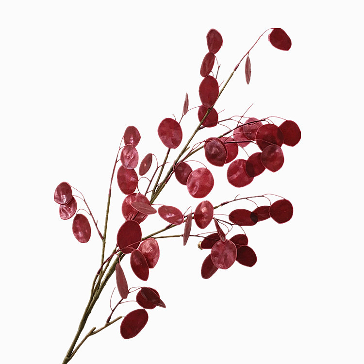 Rouge foncé
