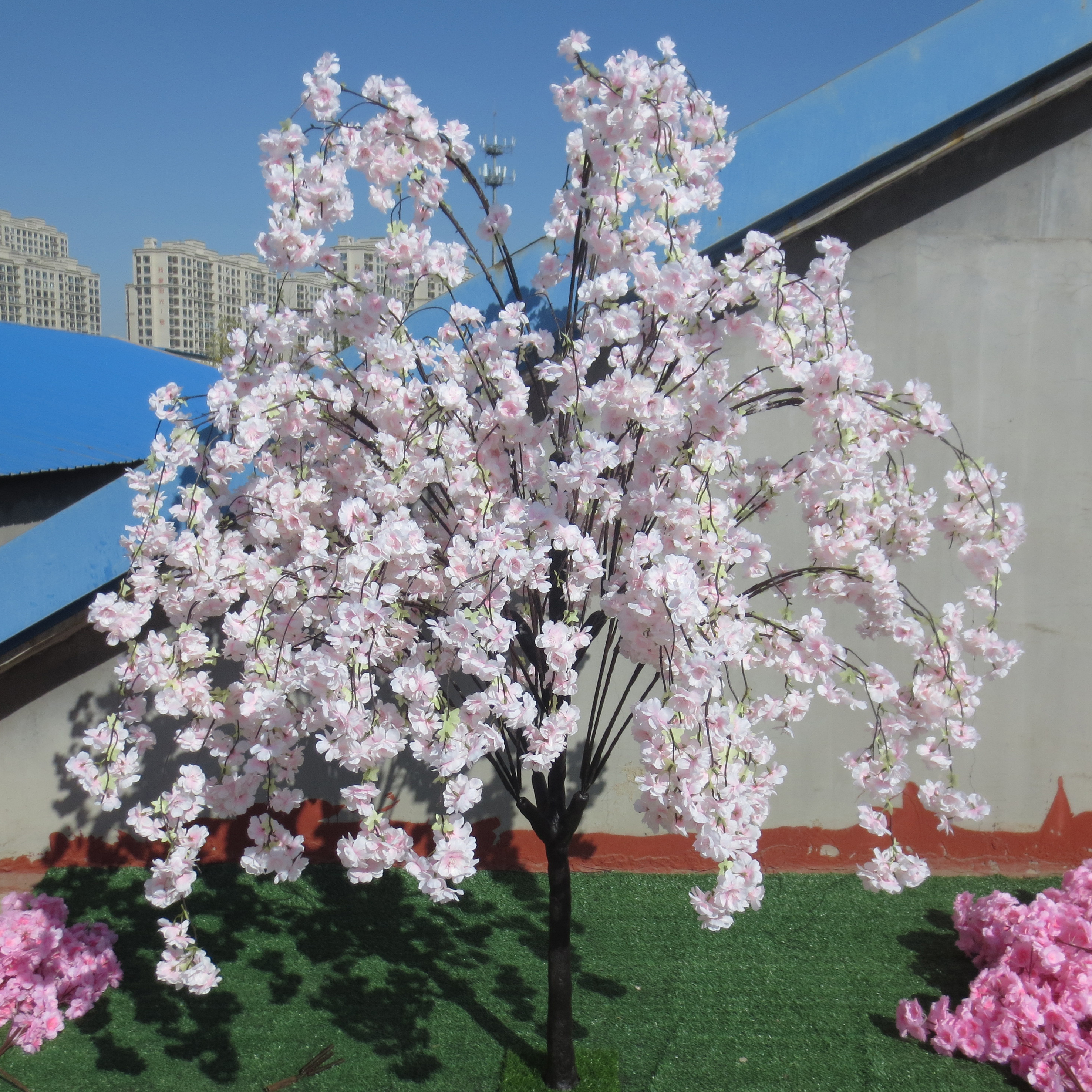 ddroop cherry blossom tree 02