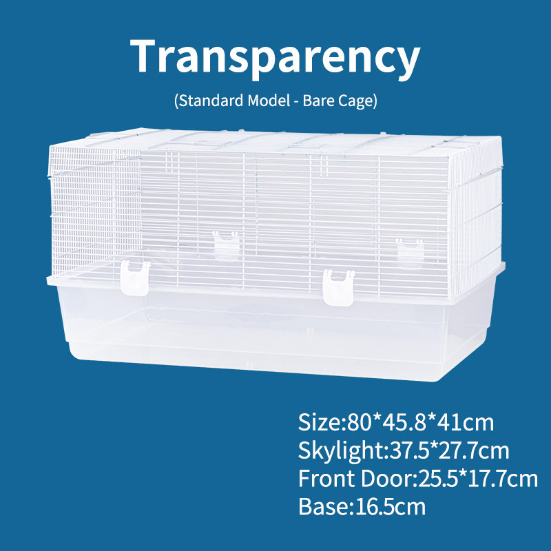 transparent