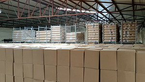 ที่ขัดขวางนกนางนวลสแตนเลสใช้304ป้องกันการปีนเขาเป็นมิตรต่อสิ่งแวดล้อมใช้ได้จริงใช้ซ้ำได้ - Product Image 6
