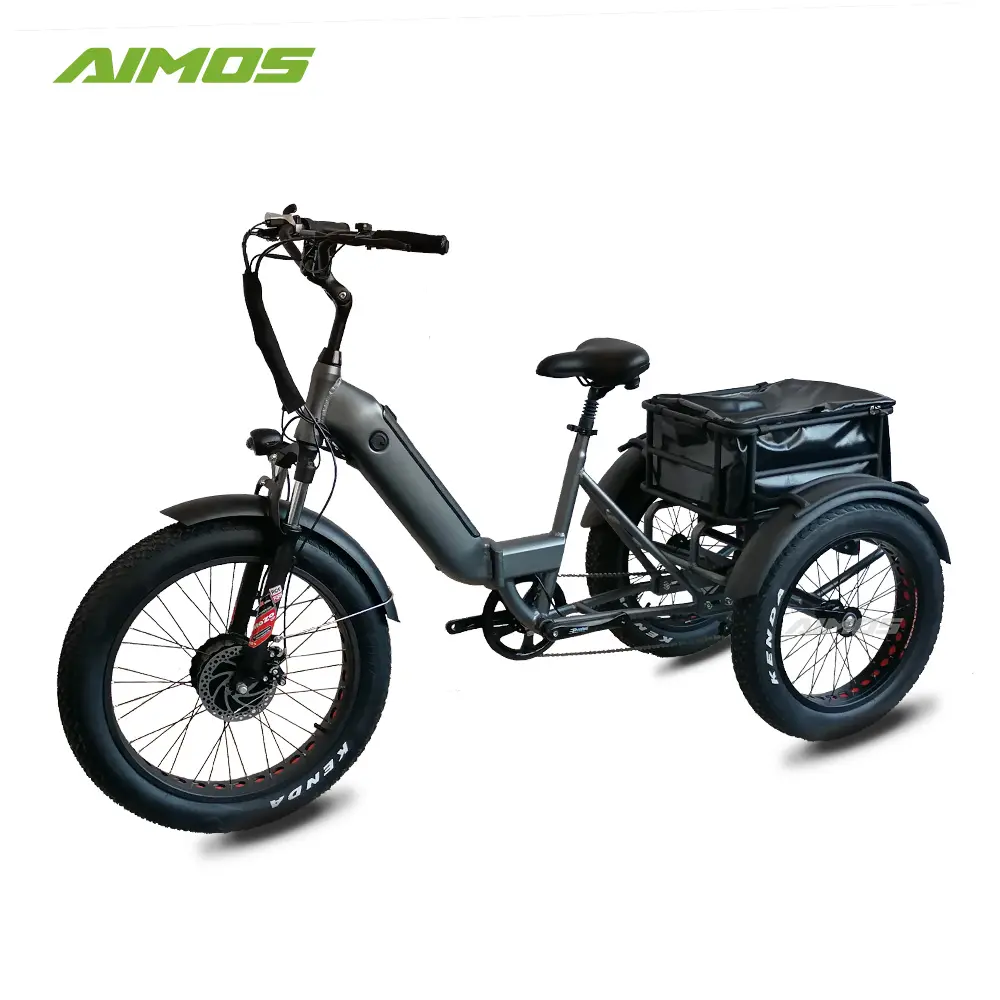 Yağ lastik elektrikli bisiklet 1000w/3 tekerlekli yağ elektrikli üç tekerlekli bisiklet/e bisiklet 3 tekerlekli elektrikli bisiklet satış