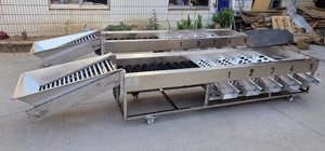 Fruit Roller <strong>Sorting</strong> <strong>Machine</strong> <strong>for</strong> Sale Potato <strong>Sorting</strong> <strong>Machine</strong> Fruit Sorter Tomato <strong>Sorting</strong> <strong>Machine</strong> - Product Image 4