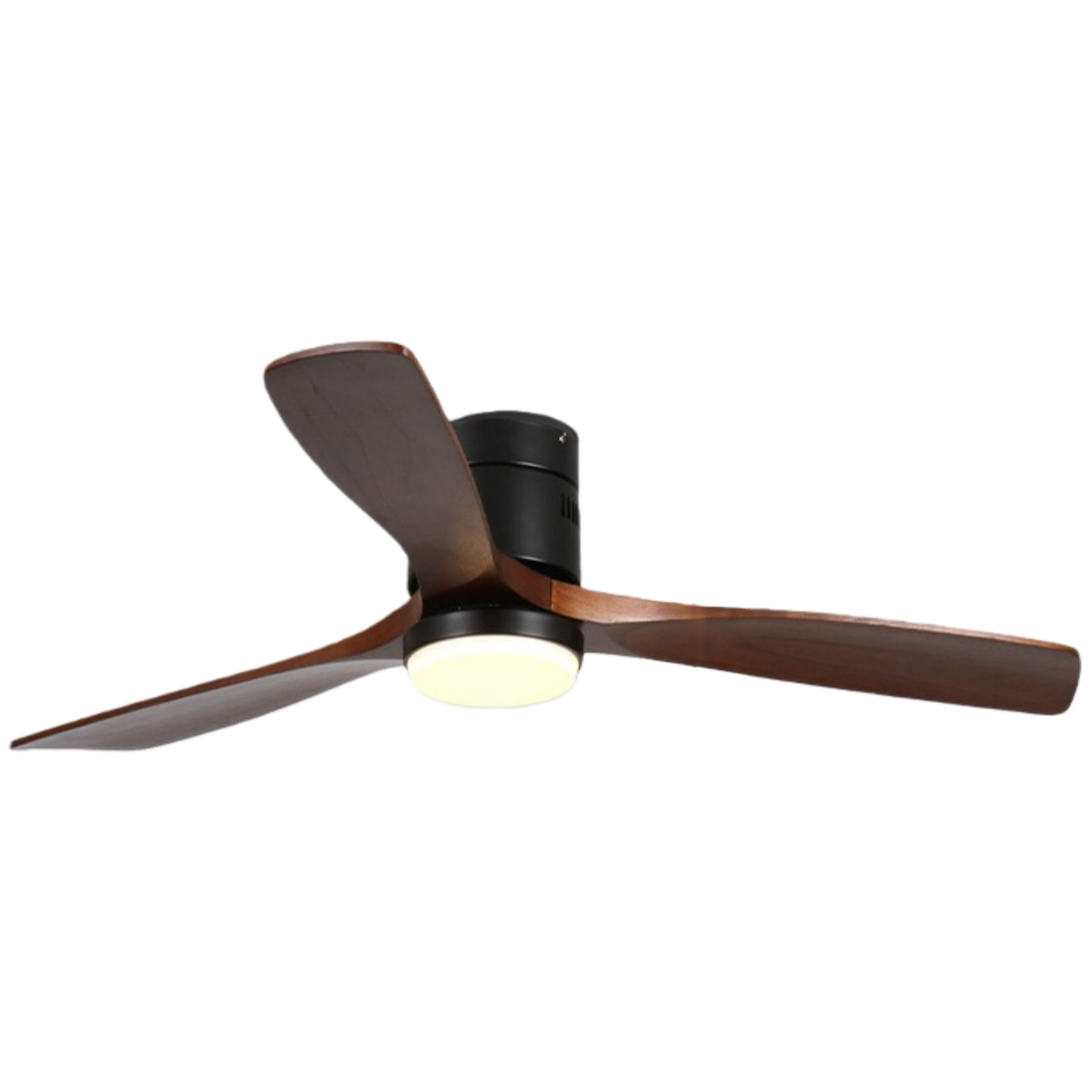Noyer noir