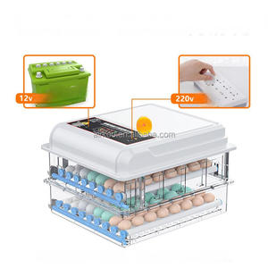 Çift güç Mini otomatik yumurta kuluçka kullanılan Oeuf Couveuse dijital özellikleri ile - Product Image 6