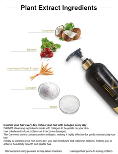 KALISPRO Shampo Biotin dan Kolagen Profesional Terlaris untuk Rambut Rusak Terbaik di Malaysia - Product Image 4