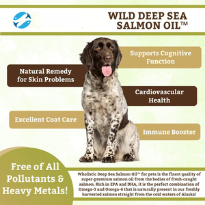 OEM Deep Sea Wild Alaskan Salmon <strong>Oil</strong> for Dogs Omega 3 With EPA and DHA for Skin Coat Heart and Nervous System Health - Product Image 6