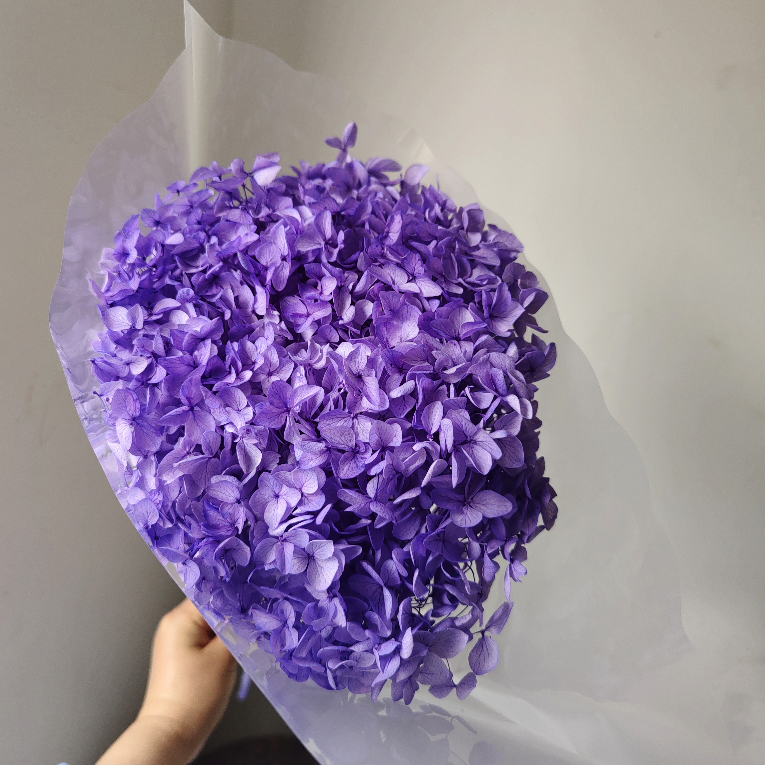 Bleu clair violet