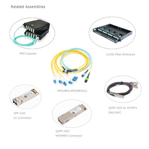 <strong>MTP</strong> - <strong>MTP</strong> 12 Fibers Female Single Mode OS2 Elite <strong>Trunk</strong> Cable - Product Image 6