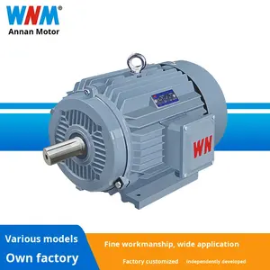 Wannan Elektrische Ye4-serie Ultra-Hoog Rendement Driefasige Asynchrone <span class=keywords><strong>Motor</strong></span> | Ie4 Efficiëntie | 380V | 3000r/Min - Product Image 2