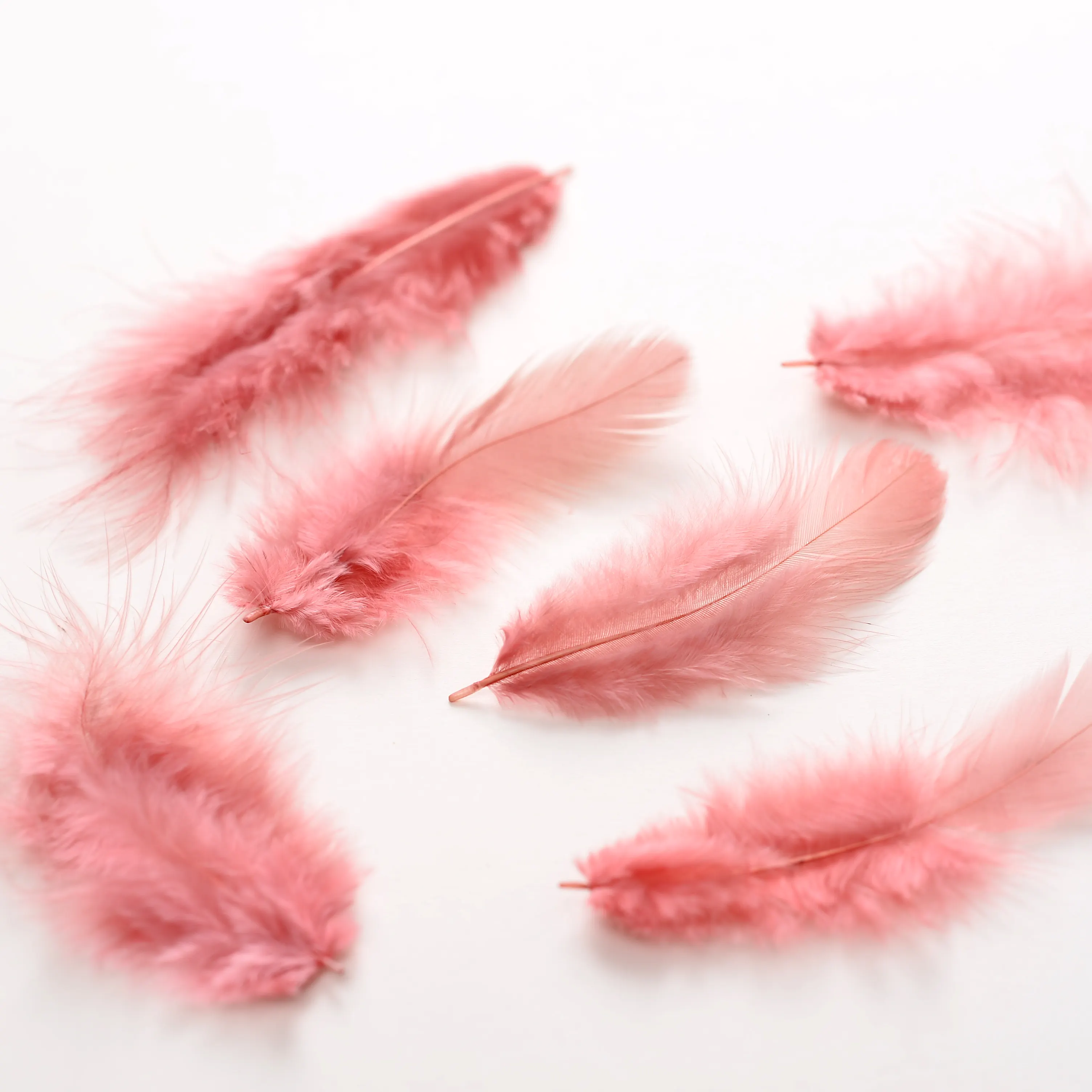 Wholesale craft DIY loose bulk pack colorful small hen feather for ornament making Chicken feather 10g/bag