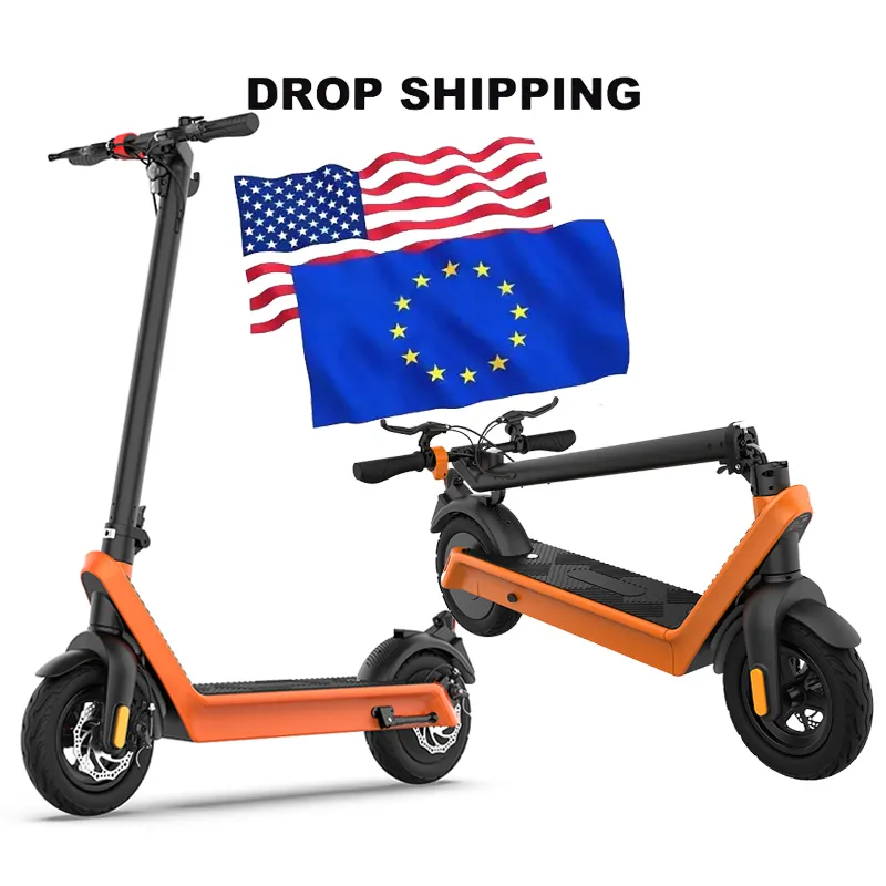 China Cheap Kick Scooters 10 inch 1000w Two Wheels Motor Removable Battery Foldable Folding Powered Off Road Electric Scooter