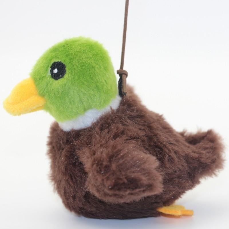 Canard colvert