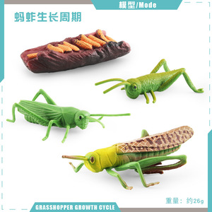 Flying Dragonfly <strong>Toys</strong> Solid PVC Simulation Insect Model Plastic Animal <strong>Toys</strong> Educational Teaching Tools Ant Life Cycle <strong>Toys</strong> - Product Image 3