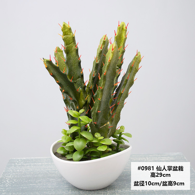 QH-0981