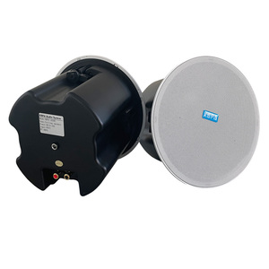 Multicanal Multi Room Powered Sonido estéreo Aplicación Controles WIIM Personalizado Hifi Activo Inalámbrico Bluetooth Wifi Altavoz de techo