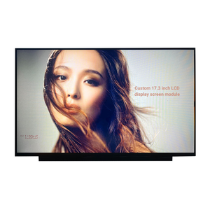 Factory Directly Sell 17.3 Inch 1920 x 1080 Resolution IPS <strong>Display</strong> 30pin <strong>EDP</strong> <strong>Interface</strong> TFT <strong>LCD</strong> <strong>Display</strong> Module for Laptop - Product Image 1