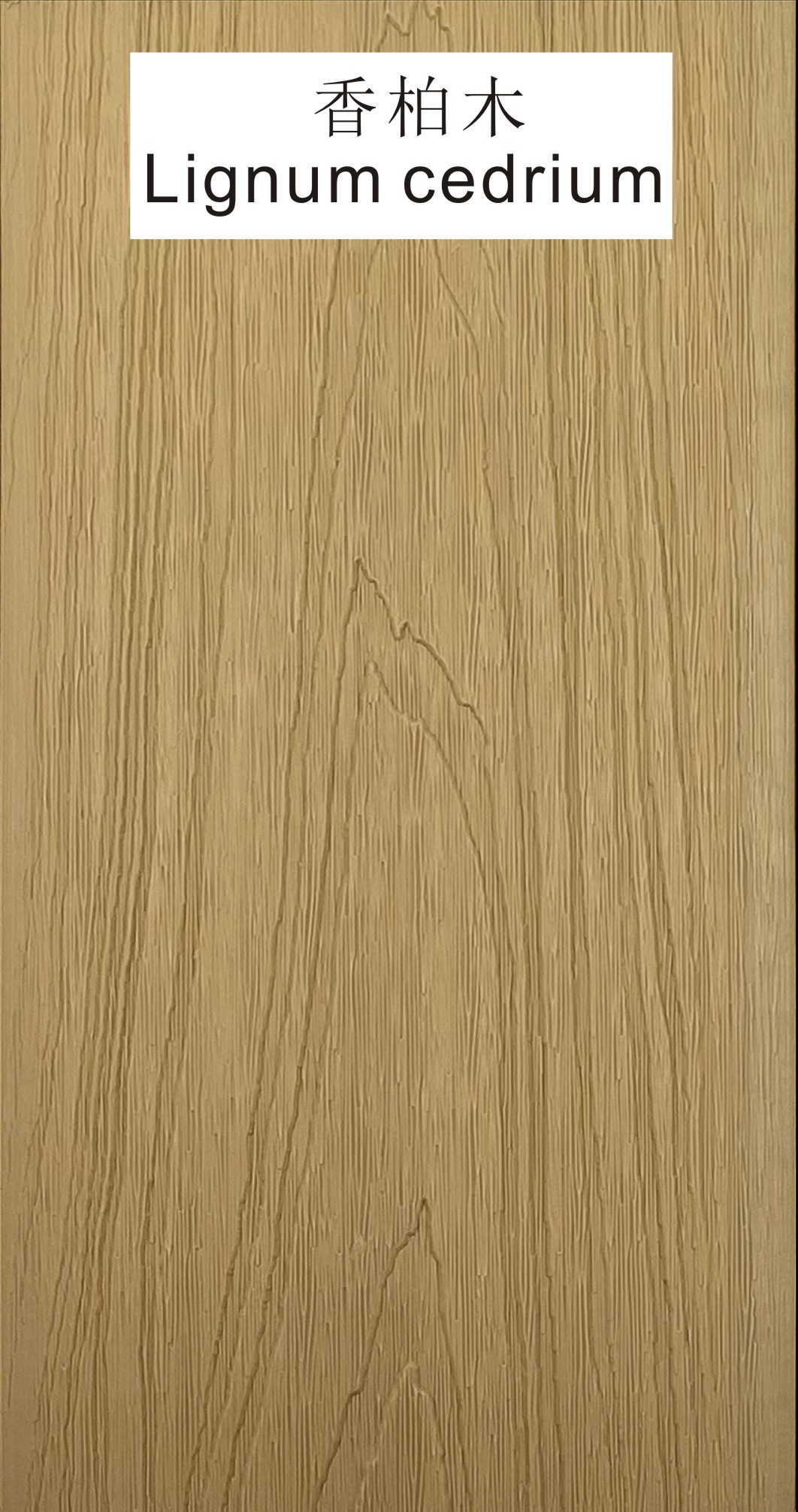 Lignum cedrium