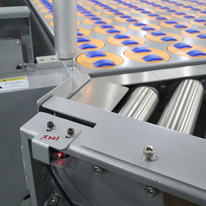 Progettazione professionale del sistema di smistamento logistico Dws programma di smistamento e trasporto automatico di pacchi di grandi dimensioni - Product Image 4