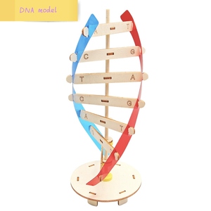DNA çift sarmal yapısı modeli teknolojisi küçük el yapımı diy İnsan gen biyolojik bilim deney ekipmanları DNA modeli - Product Image 2