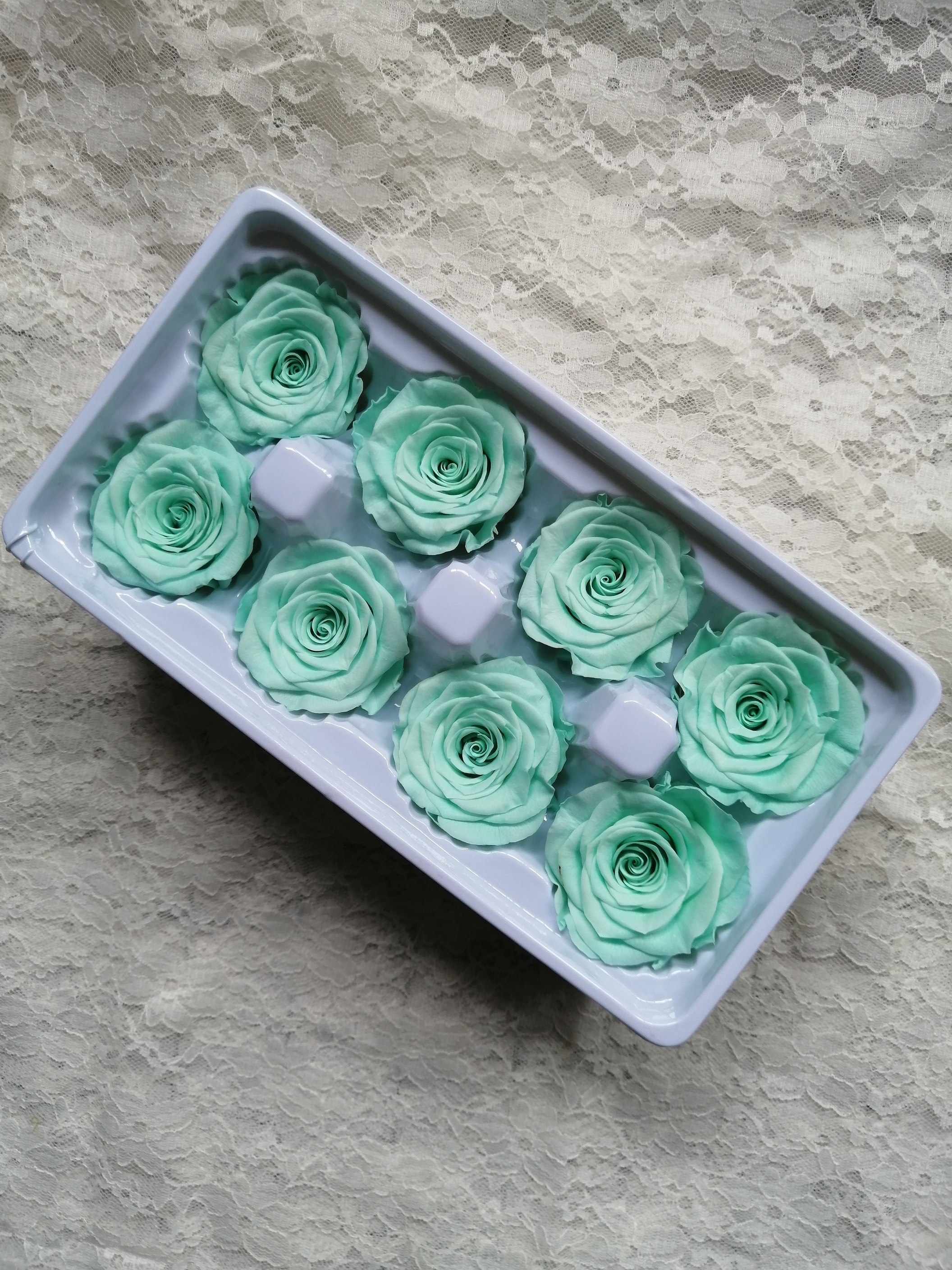 Menthe