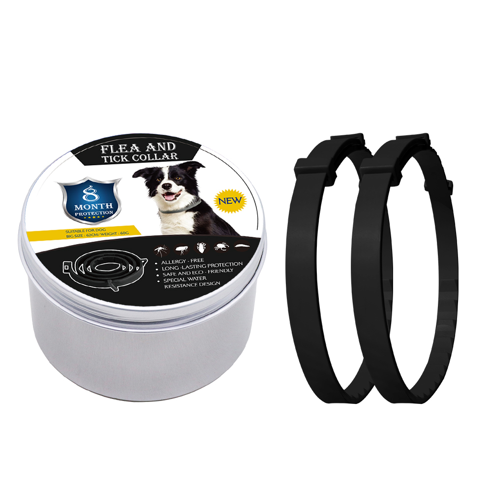 Chien noir