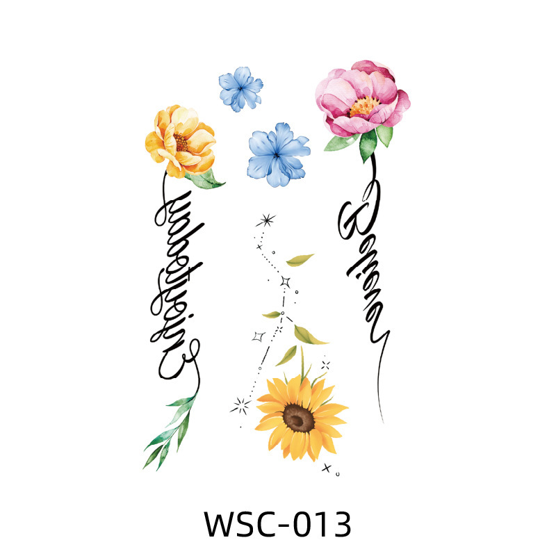 Wsc-013