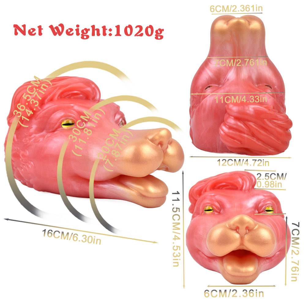 G6606