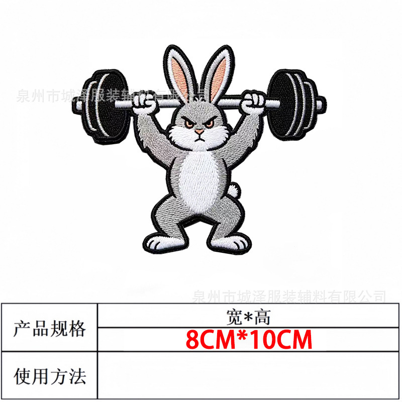 Fitness Rabbit (Personalizado a partir de imágenes o muestras proporcionadas)
