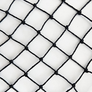 Fabrika Outlet 50mm Mesh geçirmez netleştirme tarım koruma anti-kuş ağı pirinç alan için - Product Image 6