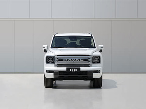 2025 Light H9 lüks SUV hafif iç Premium deri ve ısıtmalı koltuklar benzinli elektrikli yakıt seçenekleri ile yeni lüks SUV - Product Image 6