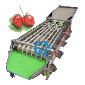 Selezionatrice automatica di frutta di tipo orbitale macchina di classificazione delle dimensioni del lampone della fragola del mirtillo nessun danno per la pelle della frutta - Product Image 1