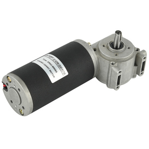 <strong>12V</strong> 24V High Torque Door Opener DC Worm Gear Motor with <strong>Encoder</strong> for Sliding Door - Product Image 2