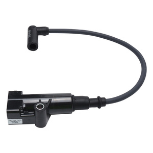 高性能オートバイEFI高電圧点火コイルDelphiシステム用-改造 & 交換部品 - Product Image 4