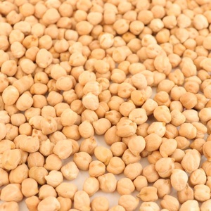 Best Quality Market Price HPS Dried White <strong>Chick</strong> <strong>Pea</strong> Beans Garbanzo Beans - Product Image 5