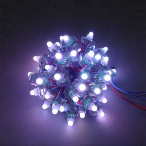 Waterproof Led <strong>Pixel</strong> Light <strong>String</strong> 5v 12V WS2811 Point Light 12mm IP68 Funfair Light - Product Image 2