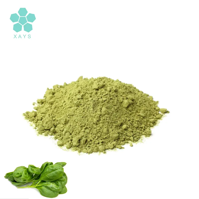 Bio reines grünes Gemüse pulver Spinat-Extrakt-Pulver