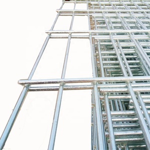 Cheap Price Decorative High Security Welded <strong>Mesh</strong> Metal <strong>Fence</strong> 868 Double Wire <strong>Fence</strong> 2D <strong>Mesh</strong> for Garden - Product Image 3