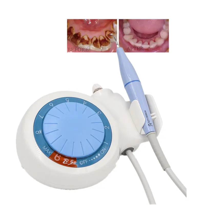 Escalador piezoeléctrico Dental ultrasónico, equipo de limpieza Dental para uso veterinario, Scaler B5, función Perio, con pieza de mano sellada