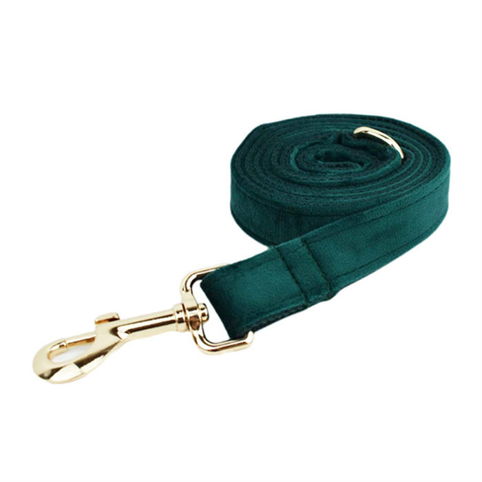Emerald Dog Leash