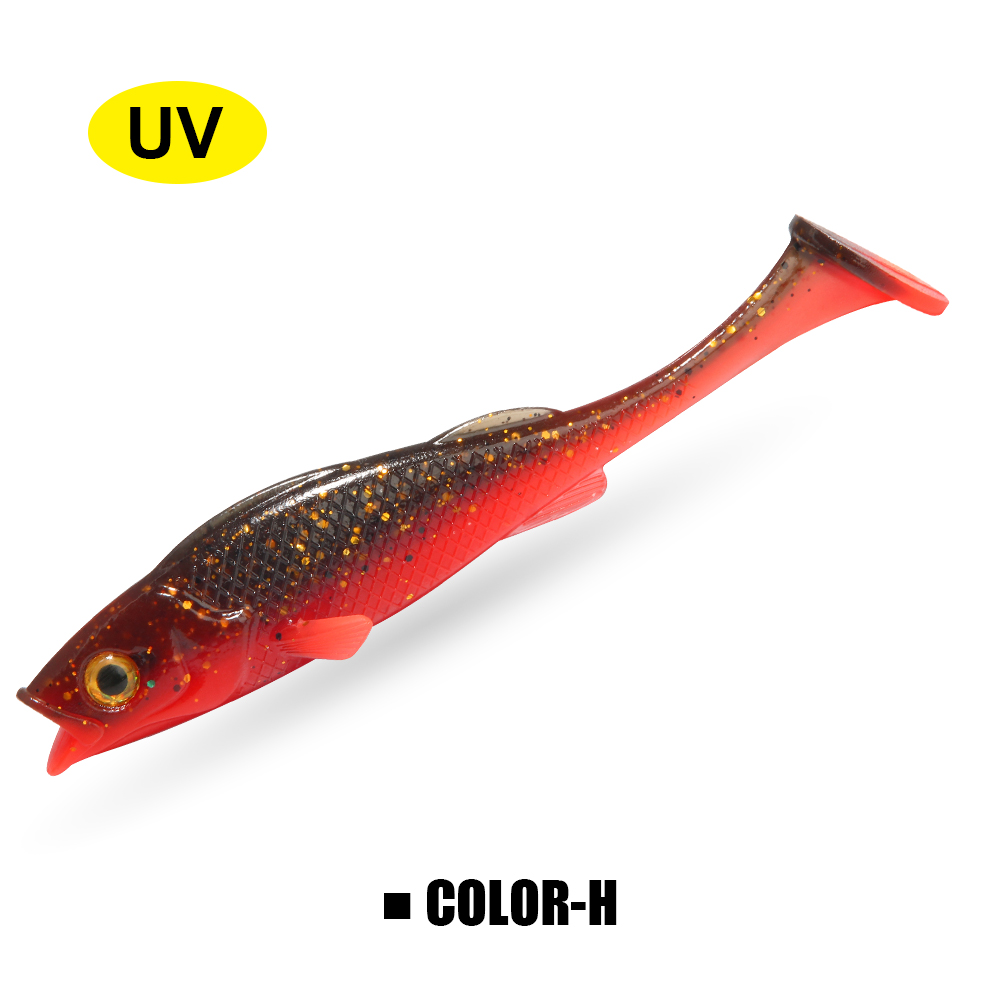 Multicolore-H