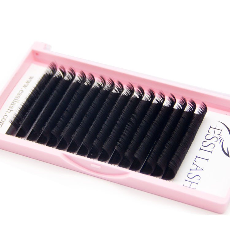Free lash boxes