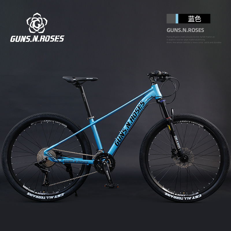 Roue à rayons bleus