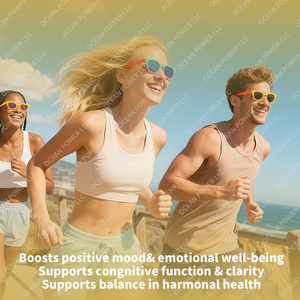 Hot verkopende Maca Wortel Vloeibare Druppels met Ashwagandha, Fenegriek, Rode Biet en L-Arginine voor Energie en Uithoudingsvermogen bij Mannen - Product Image 4