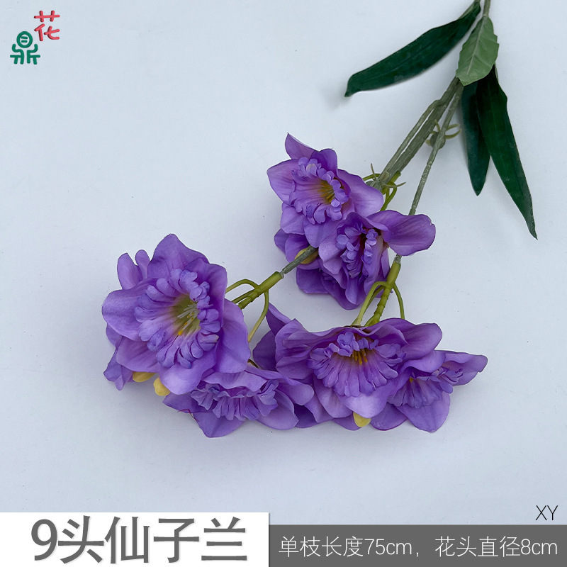 Orchidée féerique à 9 têtes XY violette