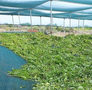 Radiation Resistant Farmers Shade Netting Shading <strong>Net</strong> <strong>Garden</strong> Agricultural UV Proof HDPE Sun Protection Shade <strong>Net</strong> - Product Image 3