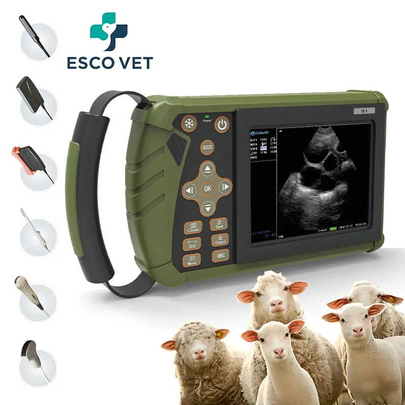 Ultrasonido portátil para oveja Embarazo Escaneo Ewe Preg Comprobación Diagnóstico Máquina de ultrasonido Escáner de ultrasonido veterinario
