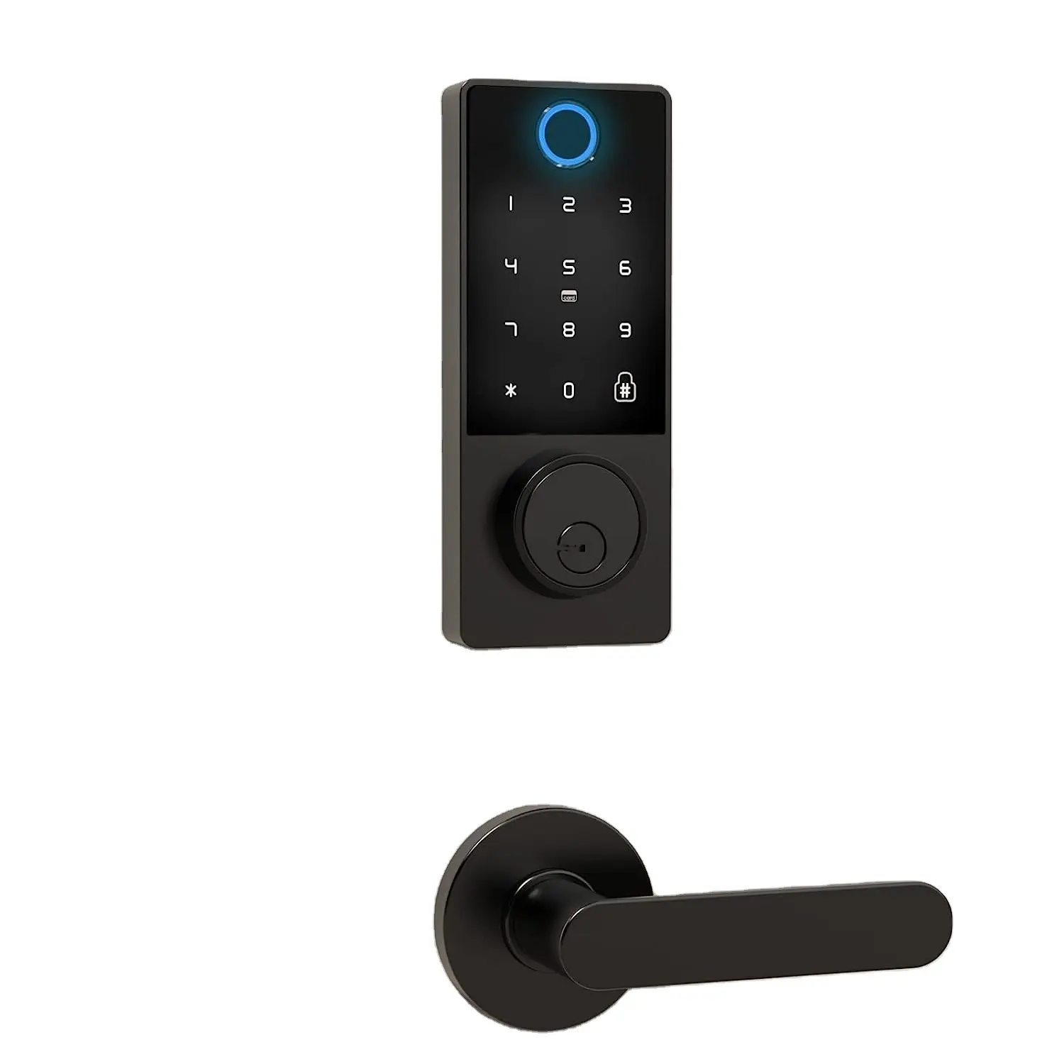 Filta nuova chiave chiave con Password Tuya Bluetooth per sbloccare la porta Smart porta catenaccio